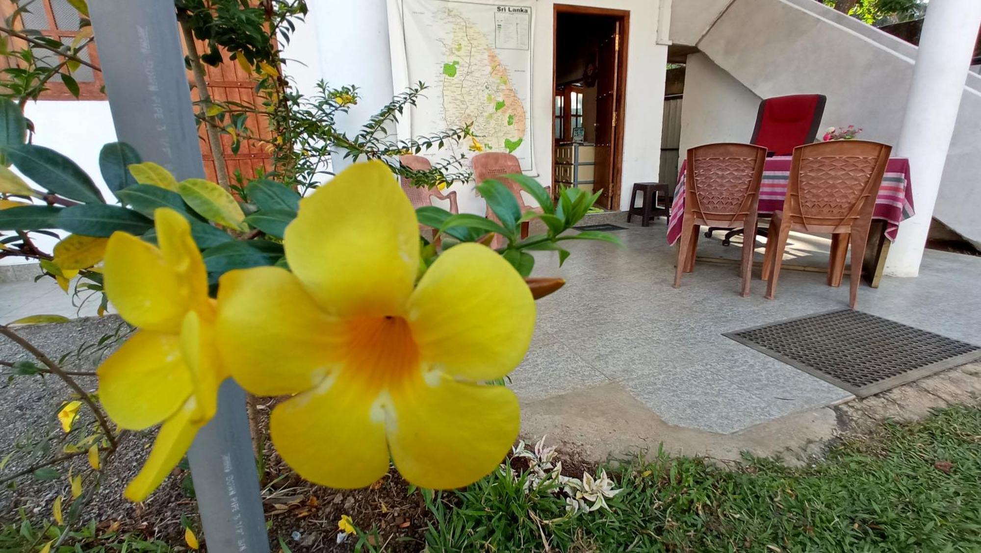 Safari Horizon Udawalawe Bed & Breakfast Dış mekan fotoğraf