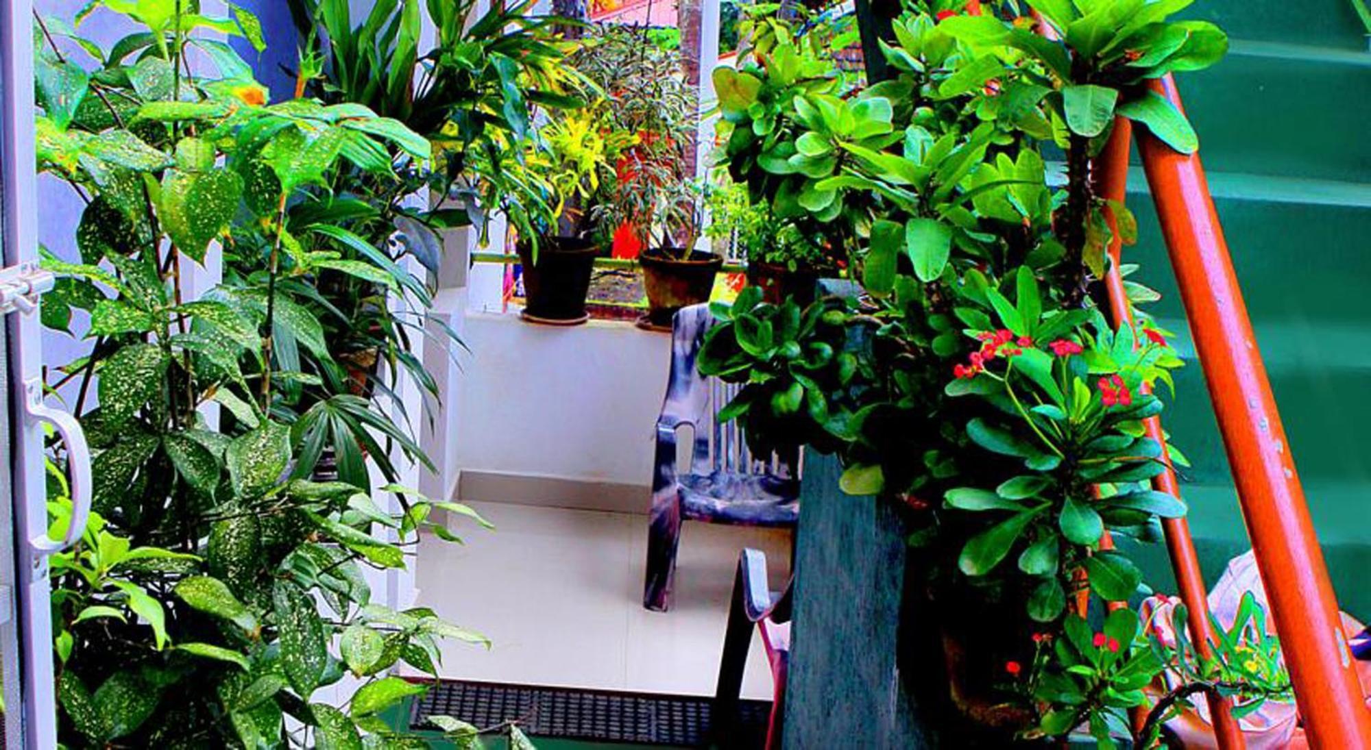 Safari Horizon Udawalawe Bed & Breakfast Dış mekan fotoğraf